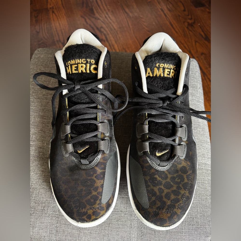 Nike Size 9 “Coming to America” shoes.